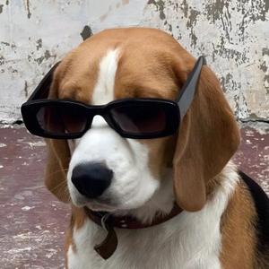 端庄优雅的鑫 头像