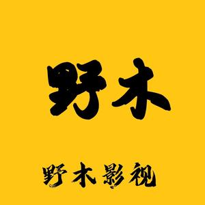野木影视 头像