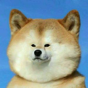 today小视野 头像