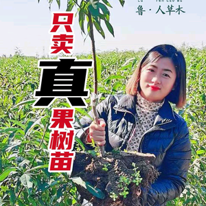 农村虎妹 头像