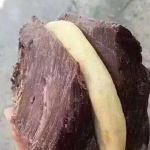 和家人一起去转