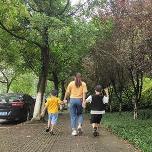 河南豆子哥 头像
