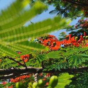 暖风薰醉的胡钦 头像