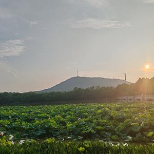 霸都合肥TIql头像