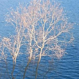 水鸣山语农庄 头像