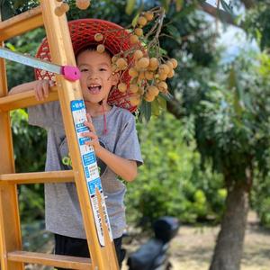 皮皮轩的美好生活 头像