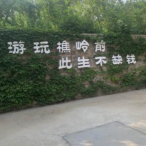 沙发比板凳舒服 头像