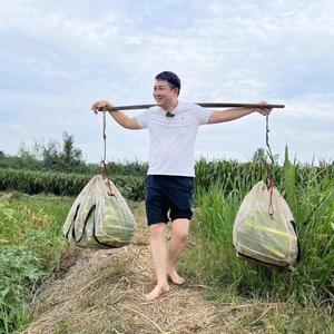 我是小吴哥 头像