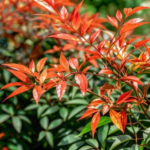 洞穴中探险的奇者 头像