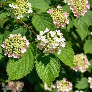 股海密探007 头像