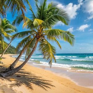 池畔悠然赏莲人 头像