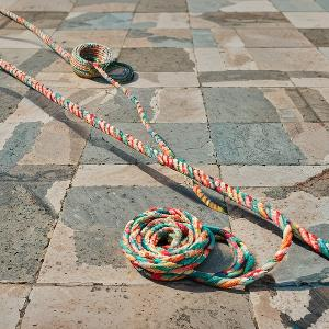 芦荡里惊鸿一抹 头像