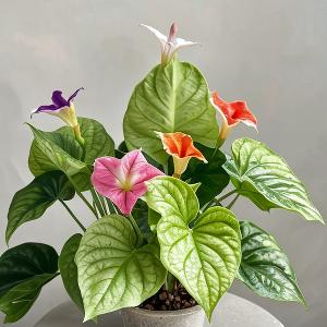 武汉特高压官方号 头像