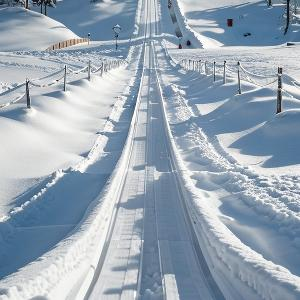 于江边静候朝阳的看客 头像