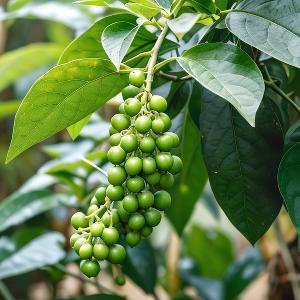 柳下阅读诗文的君 头像