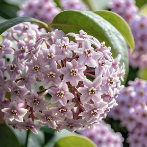 山谷内奔涌瀑布 头像