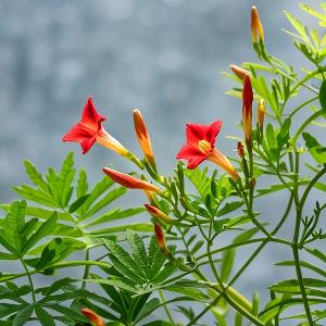 林间专心写生的画家 头像