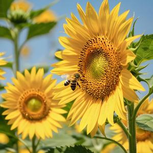 潭边静钓的钓者 头像