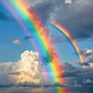 池畔看鸳鸯 头像