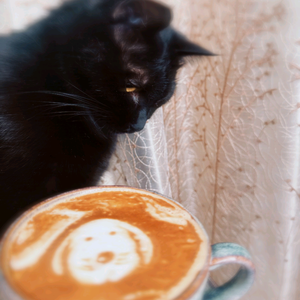 叨叨咖事录 头像