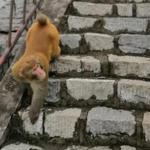 2我想问一下 头像