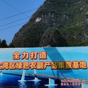 小卢说农村电商 头像