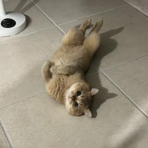 努力加餐饭 头像