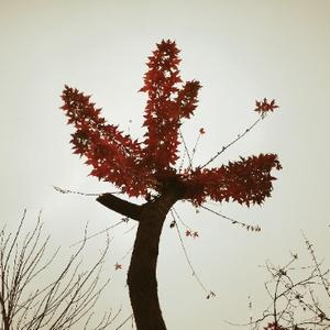 微寒里的暖 头像