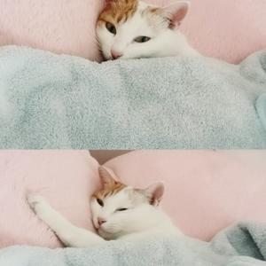 晚安故事屋 头像