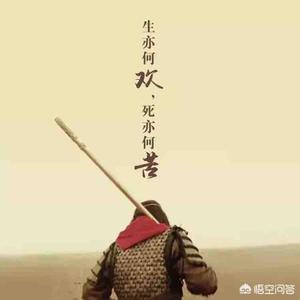 桂系观察员