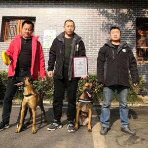 神龙护卫犬头像