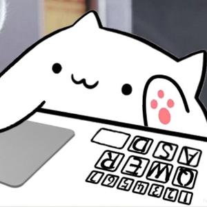 低能小猫 头像