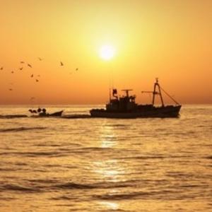 方哈哈西柚56 头像