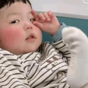 讨厌大蚊子 头像