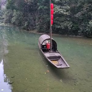 热情的山雀M 头像