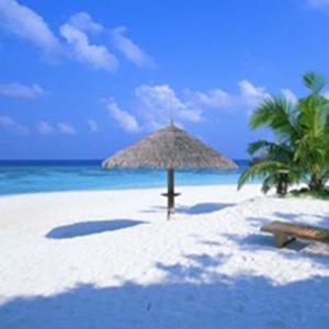 洒脱扑克VD 头像