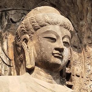 gudulangzi321 头像