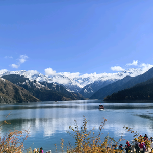 糖衣朱古力麻麻 头像