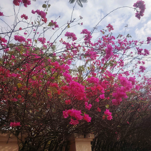 财税科普瑛姐 头像