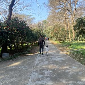 小凌闯佛山 头像