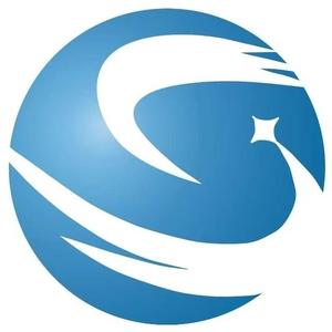 国高信研院 头像