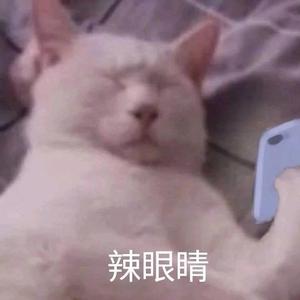 自在前行WEvS 头像