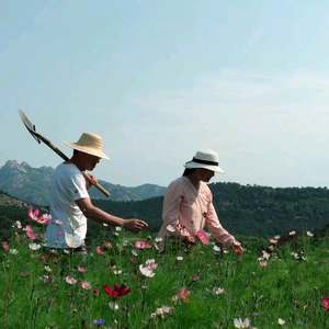 指尖芸芗头像