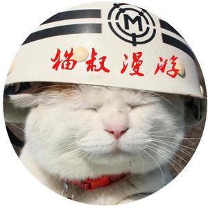 猫叔漫游头像