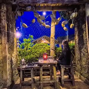 坦荡的豆浆n 头像