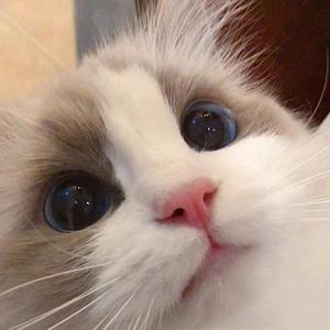 小冯的读书日记 头像