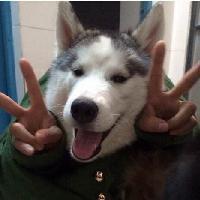 纯洁的瓜哥 头像