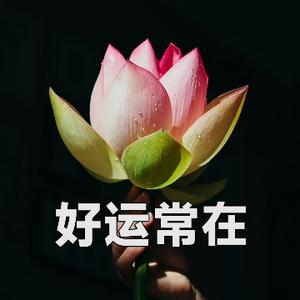 好运常在 头像