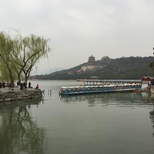 老李010109