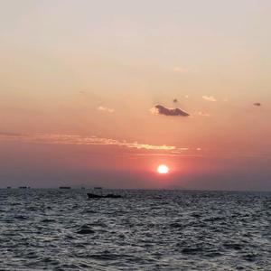 海岛观察员 头像